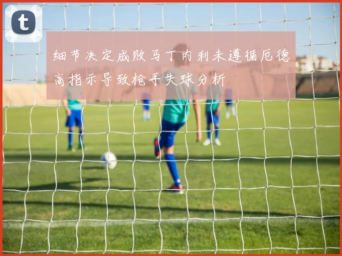 细节决定成败马丁内利未遵循厄德高指示导致枪手失球分析